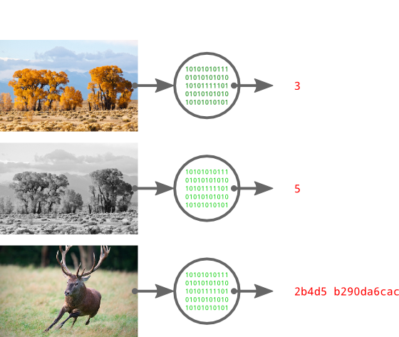 Demonstration of Perceptual Hashes